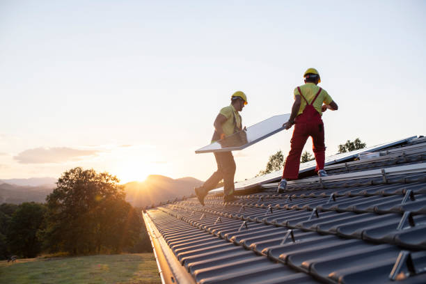 Best Chimney Flashing Repair  in Ferrum, VA